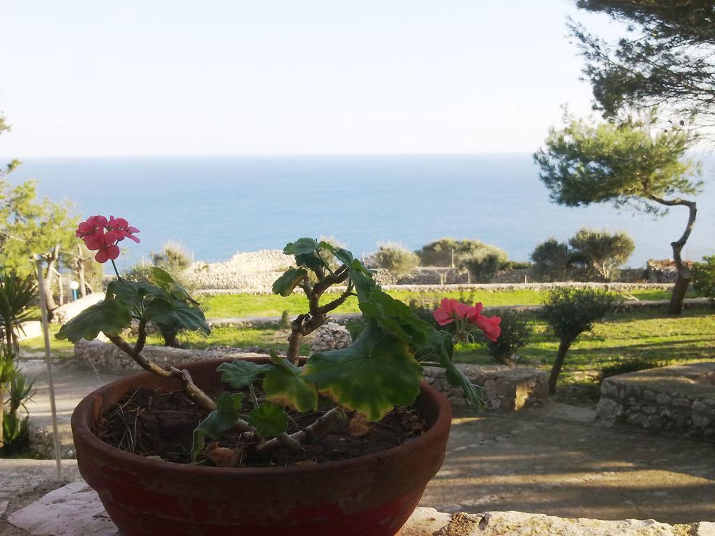 Villa Aquarium Gagliano del Capo Exterior photo